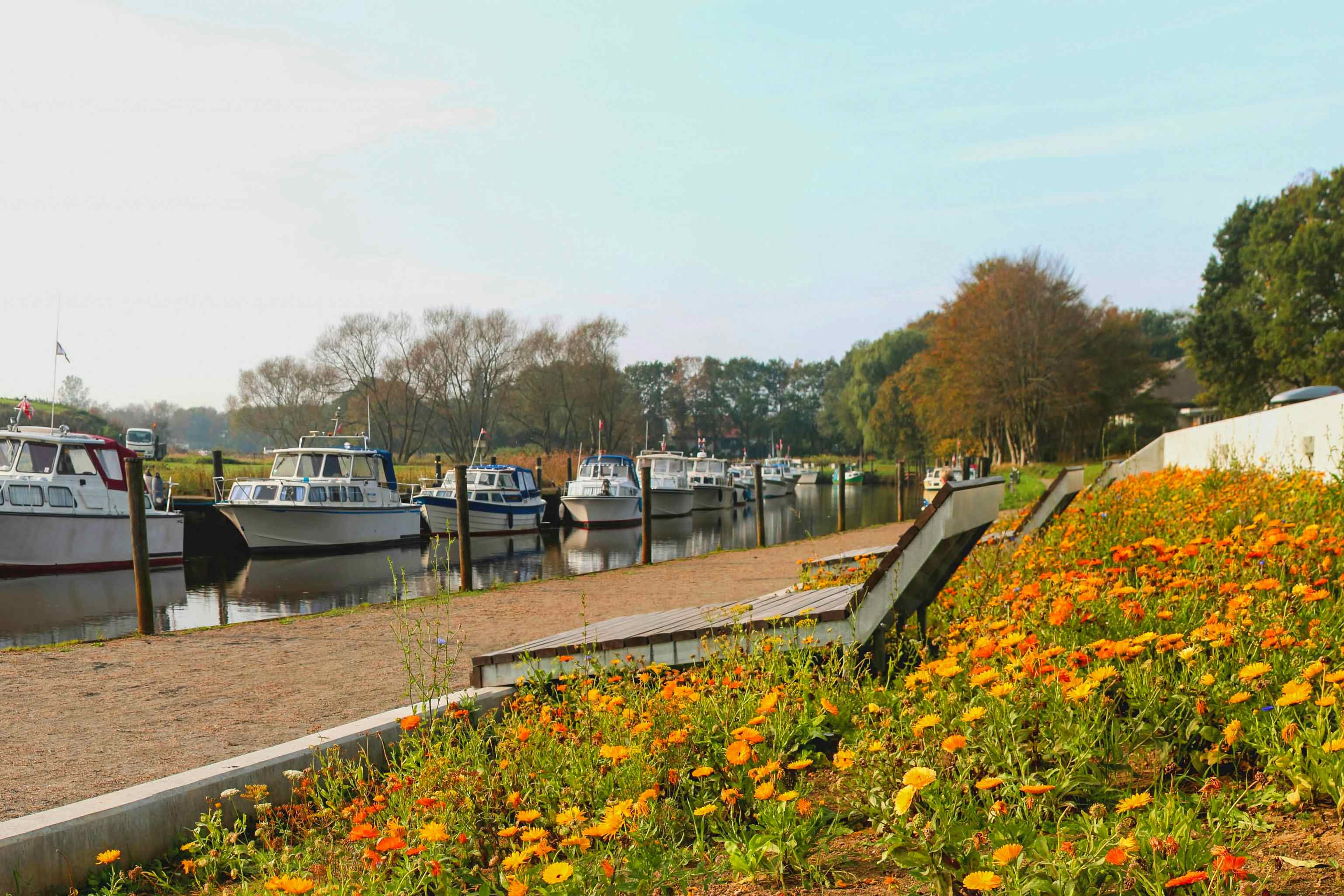 Camping in Varde