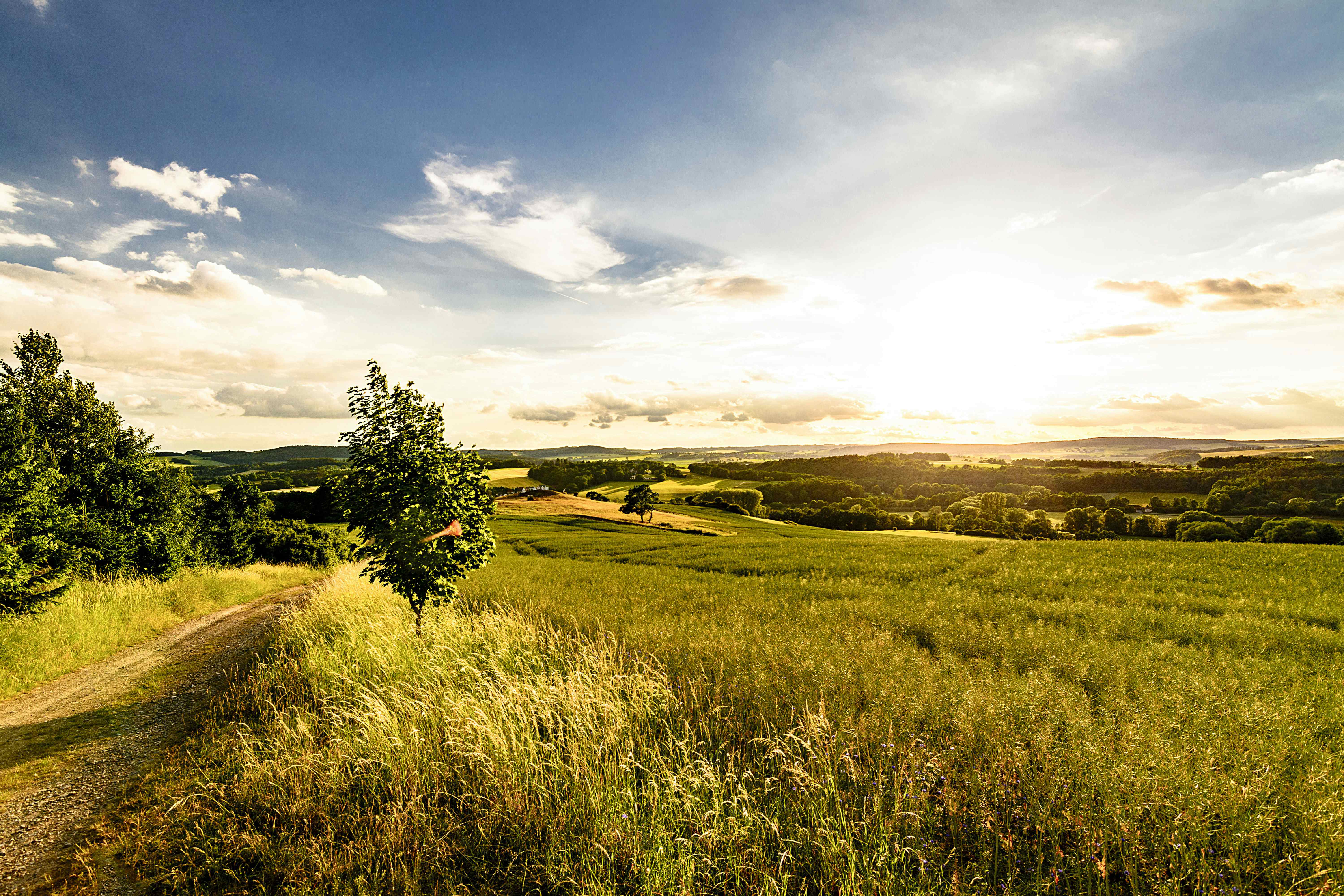 Camping im Vogtland
