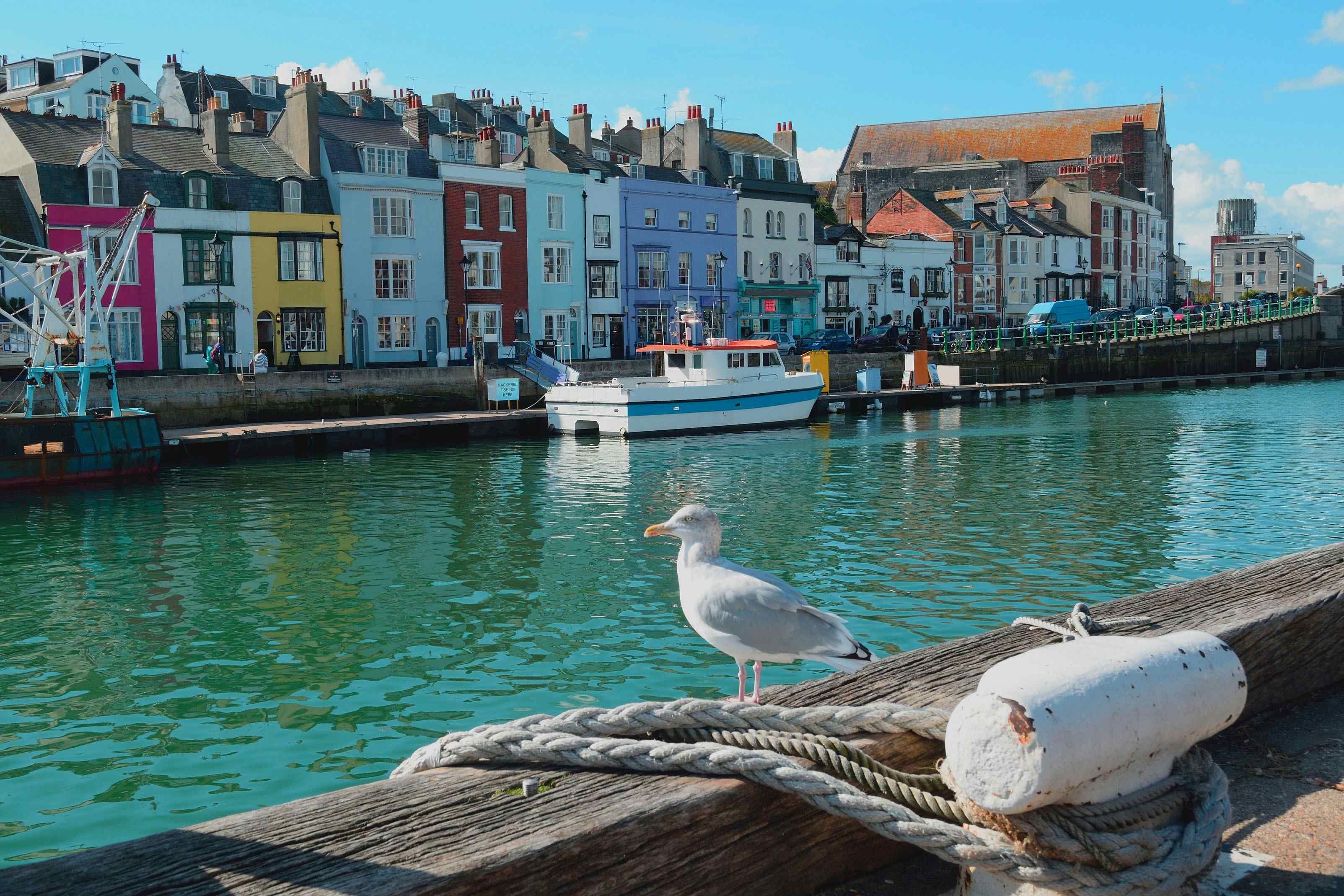 Camping in Weymouth