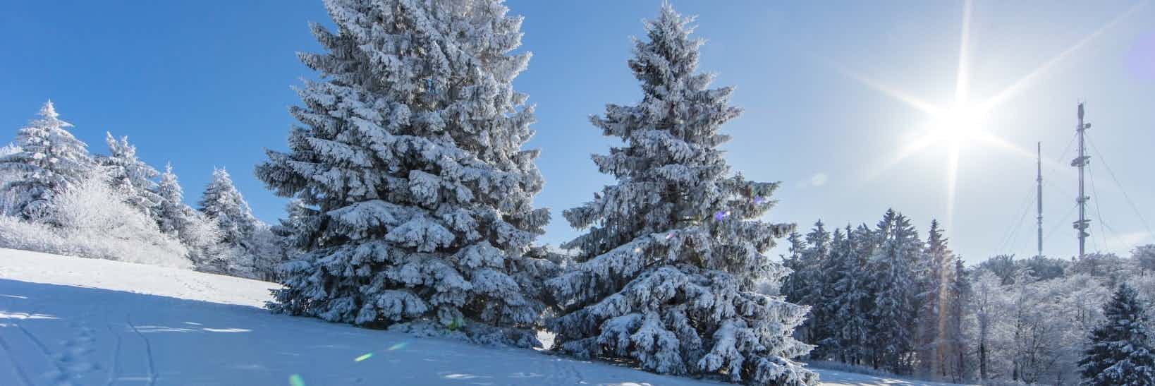 Wintercamping im Harz