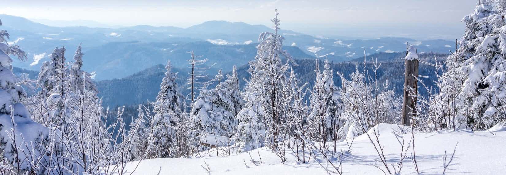 Wintercamping im Sauerland