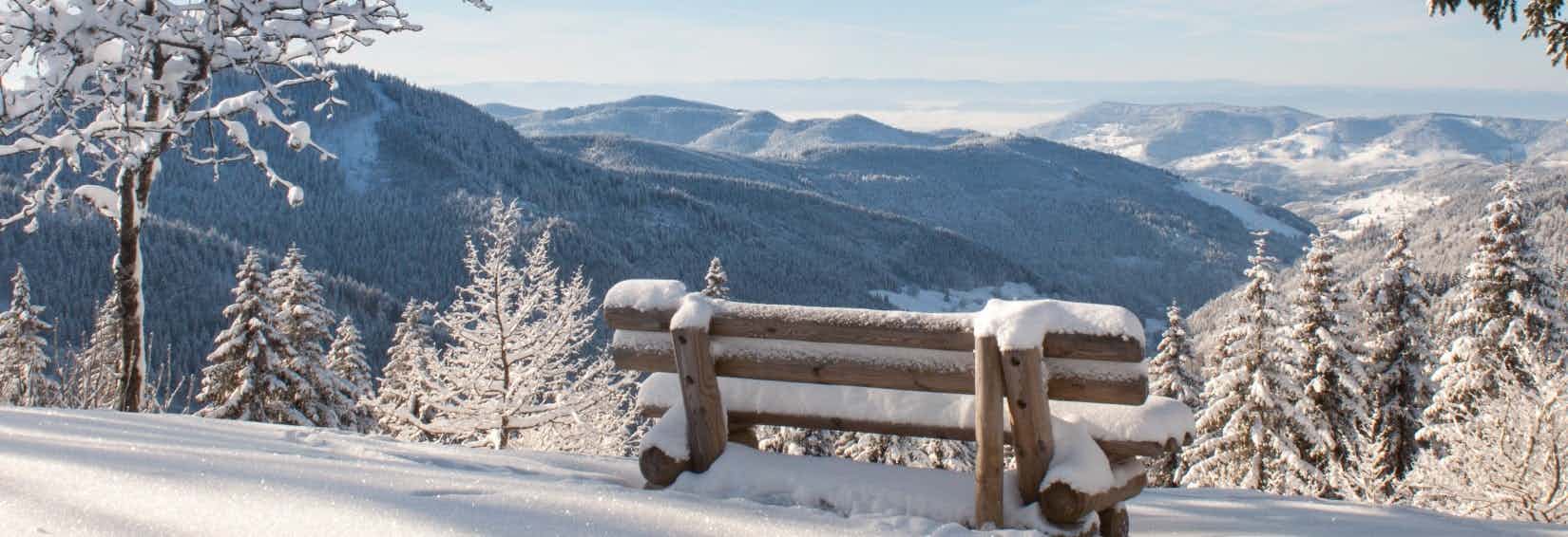 Wintercamping im Schwarzwald