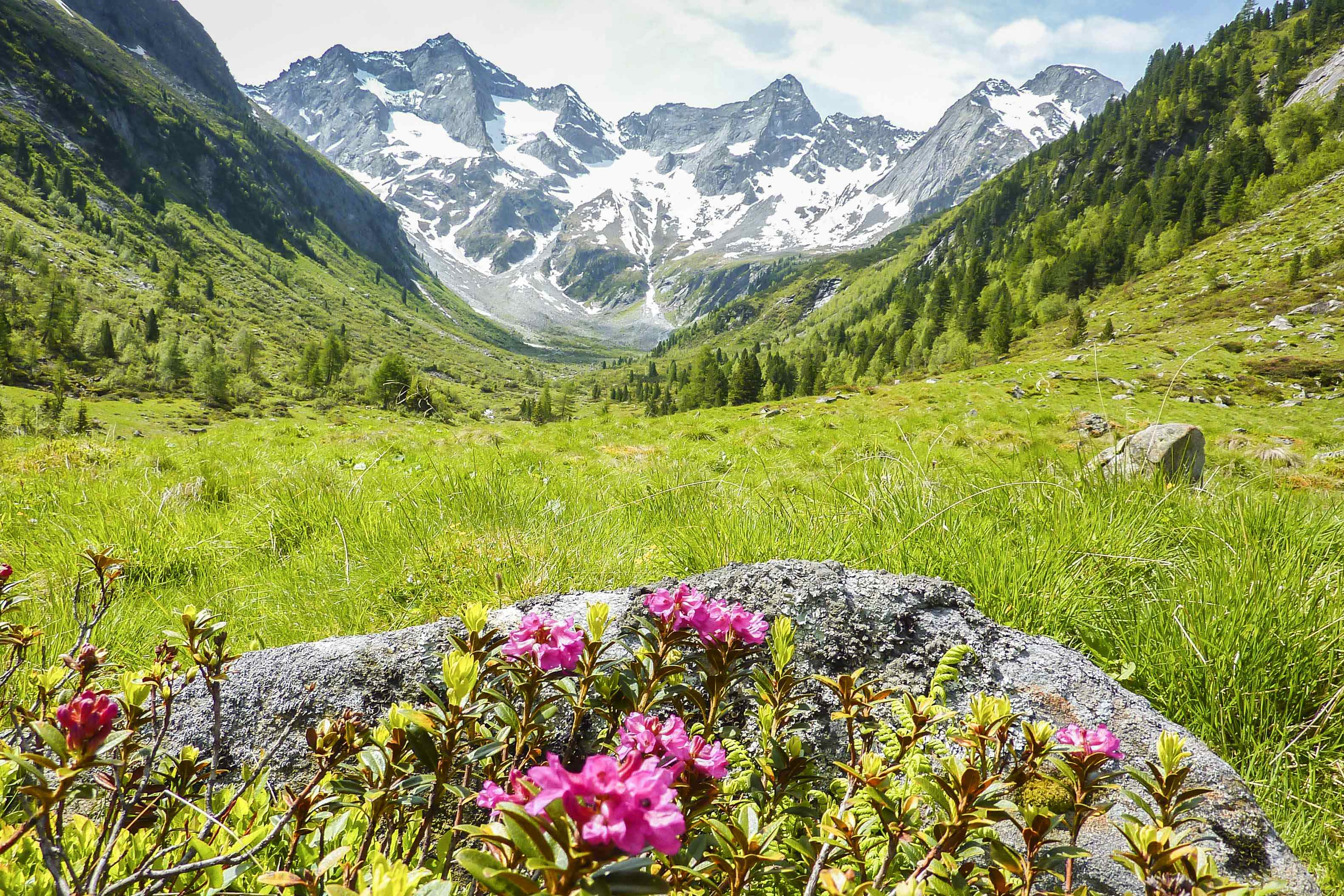 Camping in Zillertal (Stadt)