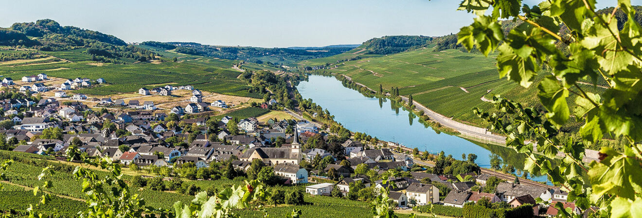 Beliebteste Campingplätze in RheinlandPfalz PiNCAMP by ADAC