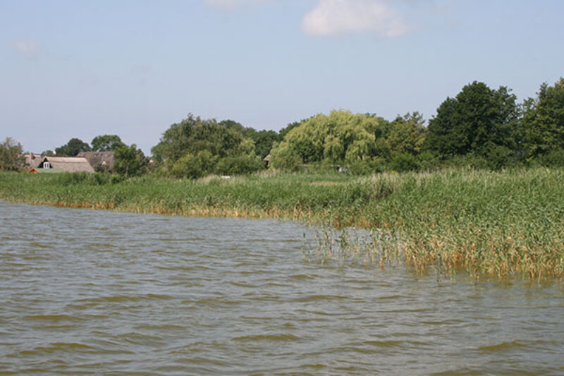 Bodstedter Bodden