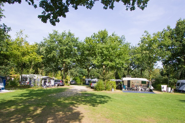 ardoer-camping-de-ullingse-bergen-standplaetze.jpg