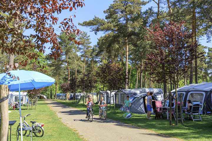 naturcamping-niederlande-ardoer-camping-de-heldense-bossen