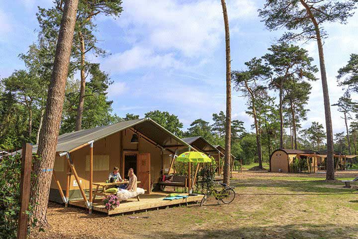 naturcamping-niederlande-camping-de-haeghehorst.png