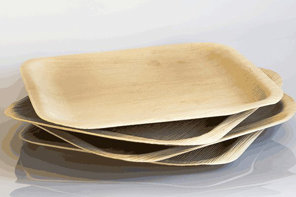 biodegradable-compostable-tableware-plates-made-from-palm-leaf.png