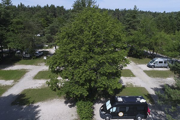 _0007_Waldcamping-Brombach---Blick-auf-die-Wohnwagenstellplaetze-zwischen-den-Baeumen-Luftaufnahme.png