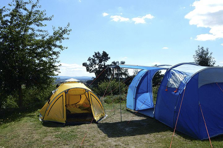 campingplatz-grossbuechlberg-umfrage-pincamp.png