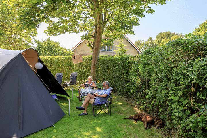 naturcamping-niederland-ardoer-camping-duinoord-aan-Zee.png