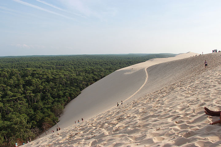 Dune-de-pilat.jpg