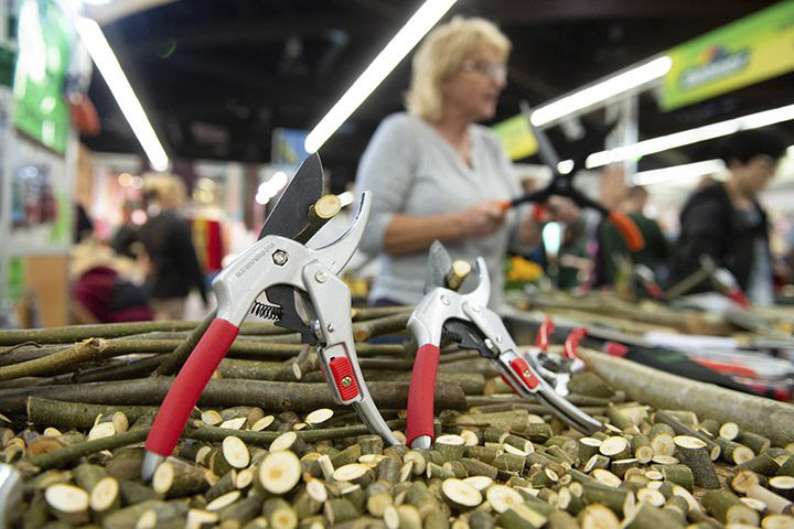 freizeitmesse-nuernberg-2020-garten.png