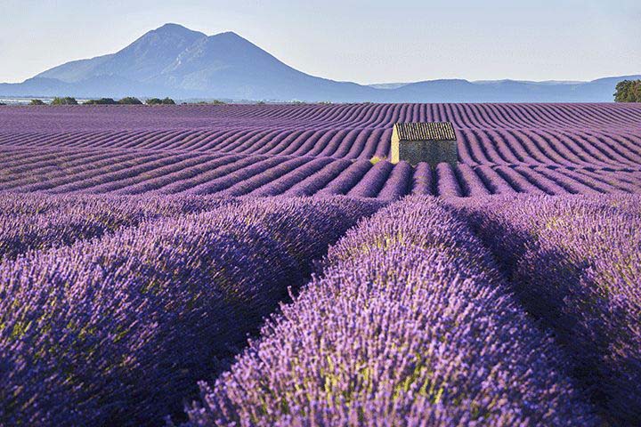 reiseziele-september-provence.png