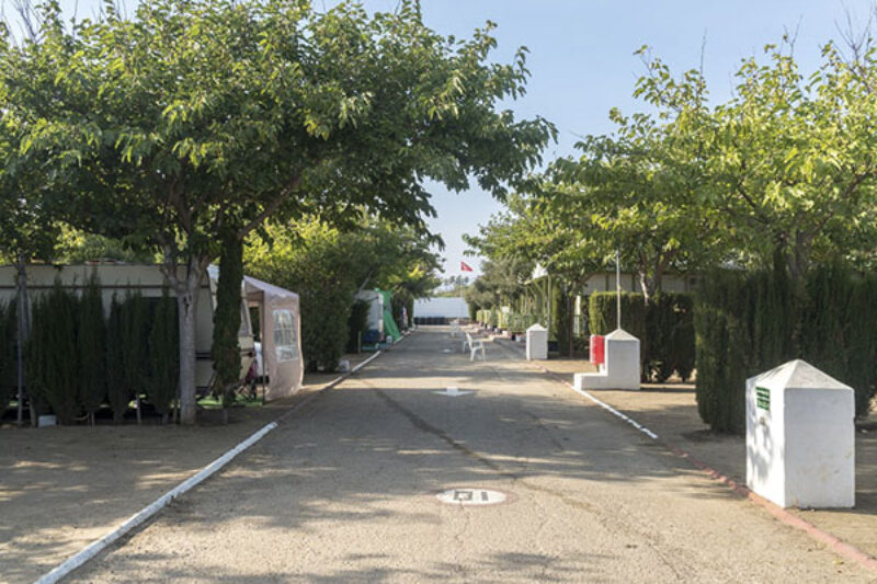 Standplatz auf Camping Bahia de la Plata