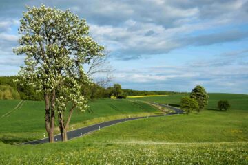 Feldberger Seenlandschaft