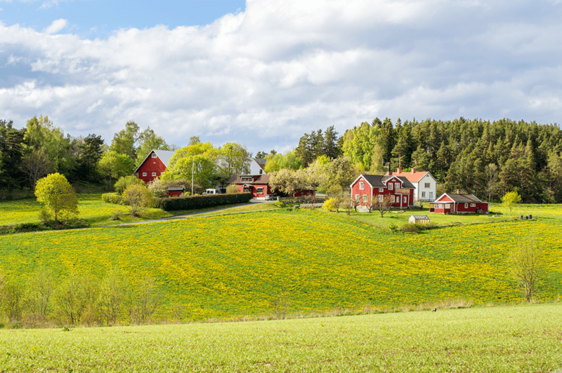 Die Landschaft von Småland in Schwede