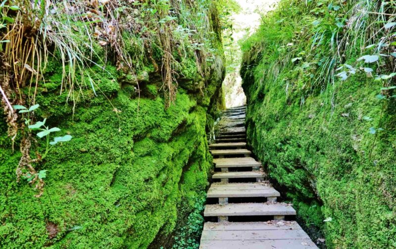 Drachenschlucht bei Eisenach, Thüringer Wald