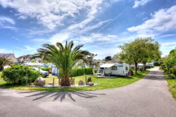 Wohnmobile und Palmen am Campingplatz