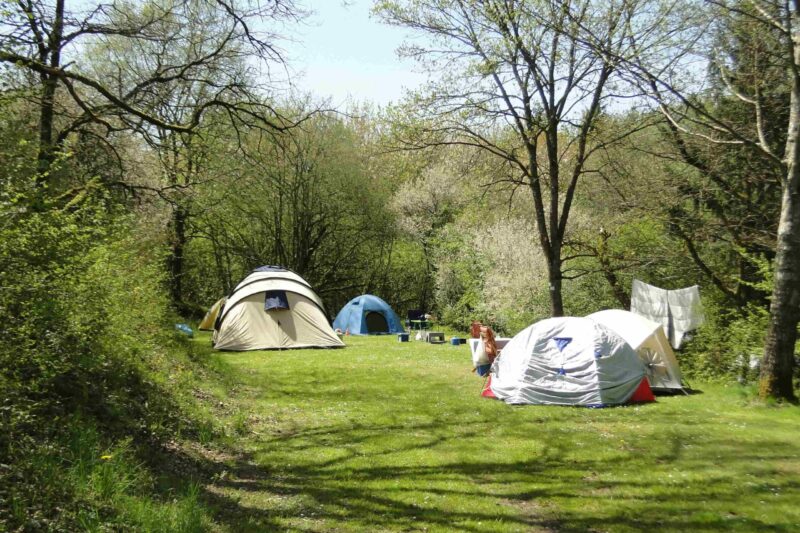 Naturcamping Vulkaneifel