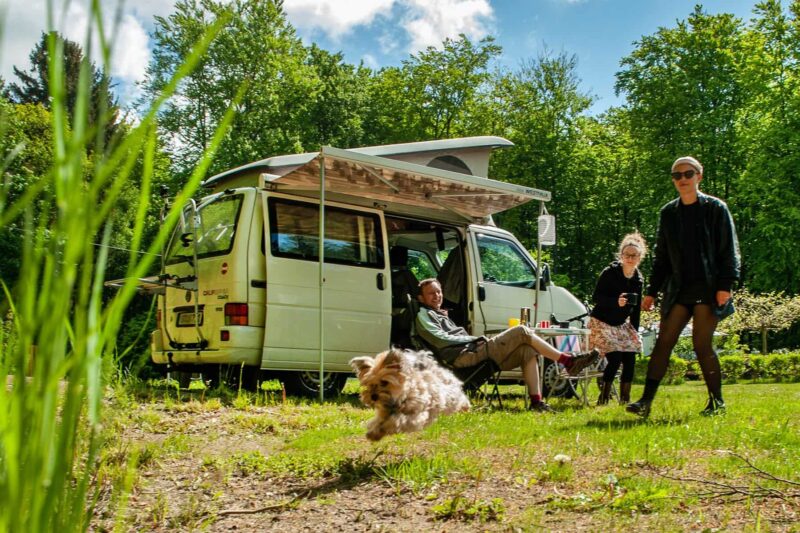 Naturcampingplatz Hafen Bermudadreieck - Hunde willkommen auf dem Campingplatz