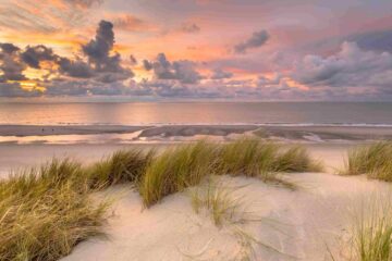 Nordseeinsel Texel