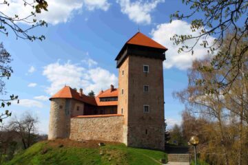 Burg Dubovac in der Stadt Kalovac