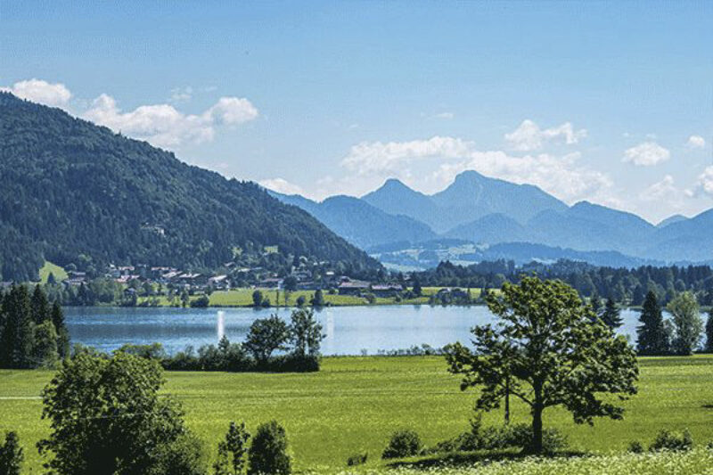 Blick auf den Walchsee