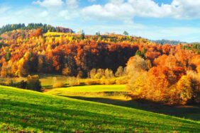 Norden, Süden, Osten, Westen – Hier campt Deutschland im goldenen Herbst