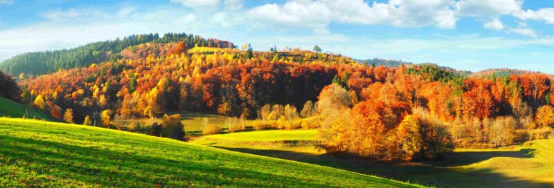 Schwarzwald im Herbst