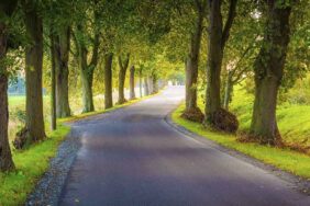 Von Rügen bis Rheinsberg: Roadtrip auf der Deutschen Alleenstraße