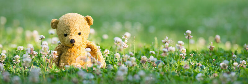 Babyspielsachen auf der Campingwiese