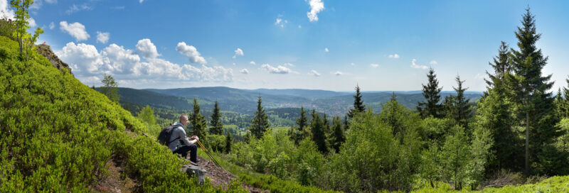 Rennsteig im Thüringer Wald