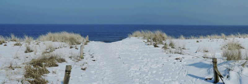 weg-in-den-duenen-am-ostseestrand-verschneit