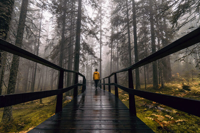 Skuleskogen Nationalpark