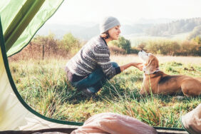 3 tolle Campingplätze für deinen Hund