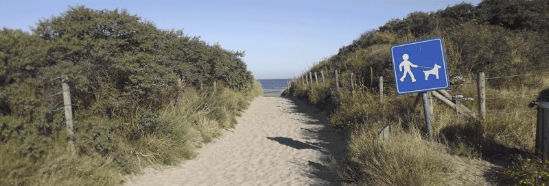 header-strand-eingang-zum-hundestrand