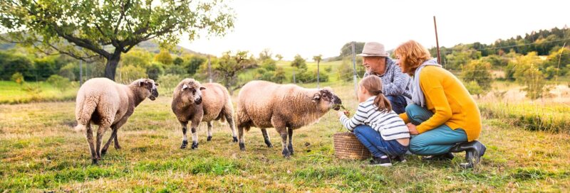 Familie beim Camping auf dem Bauernhof