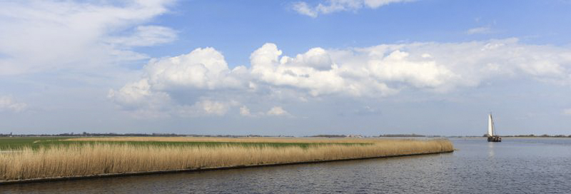 In Nordholland treffen Wasserlandschaften auf weite Felder und grüne Wiesen.