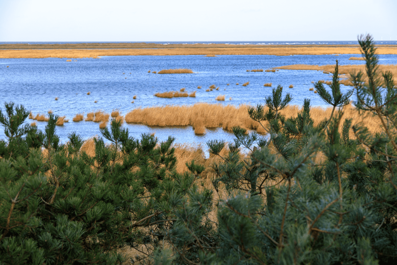 Libbertsee im Nationalpark Vorpommersche Boddenlandschaft