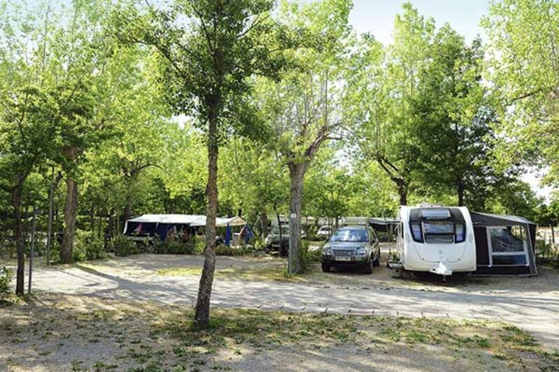 Wohnwagen und Zeltstellplatz zwischen Bäumen
