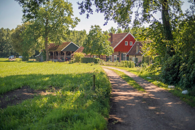 Alte Bauernhäuser an einer alten Straße in Achternhoek