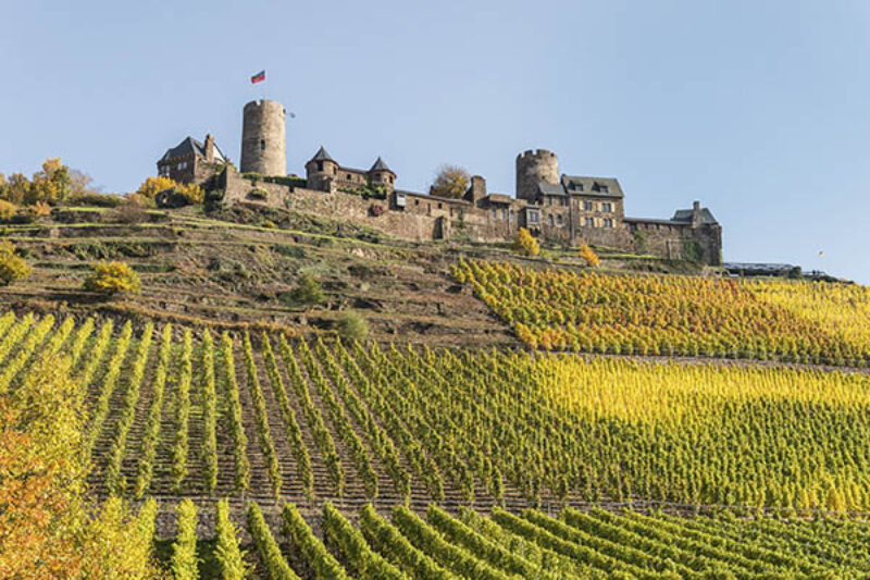 Burg Thurant mit Weinberg