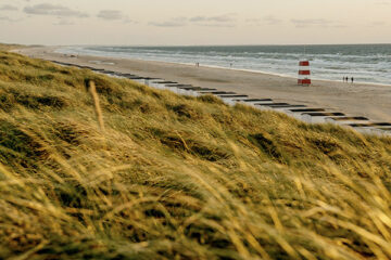 Strand in Dänemark