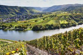 Für Genießer: Wohnmobil-Tour an der Mosel