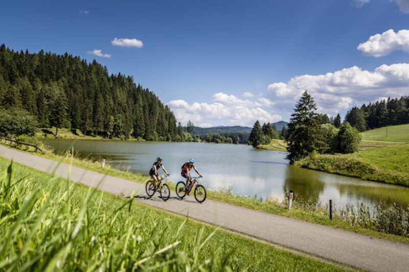 Radfahrer in der Natur der Steiermark