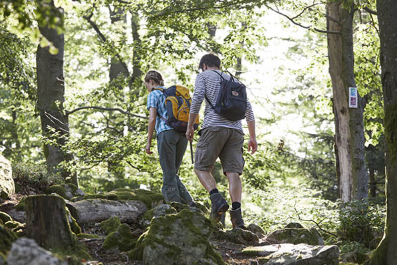 Wandern im Saarland