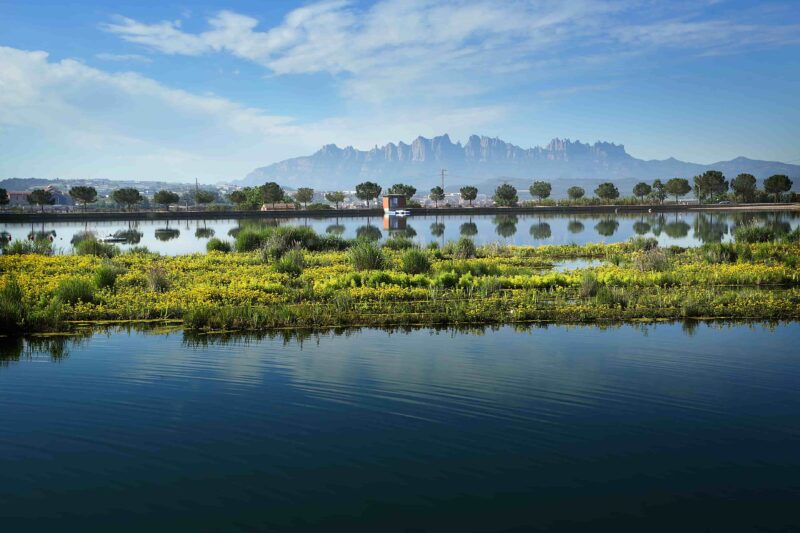 Parc de l'Agulla mit Montserrat im Hintergrund