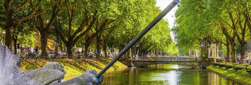 Der Rheinische Boulevard in Düsseldorf